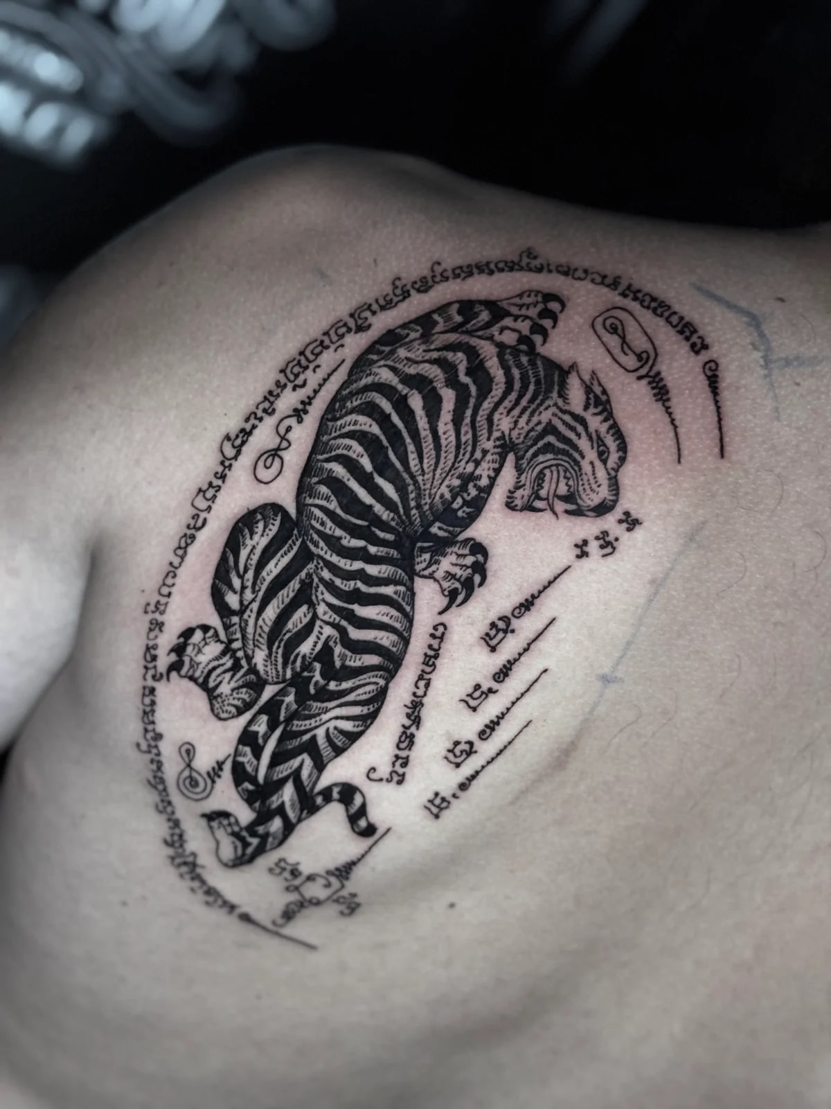 Traditional Suea (Tiger) Sak Yant of a leaping tiger surrounded by sacred Khom script and unalome symbols on the upper back at Bloodline Tattoo Phuket.