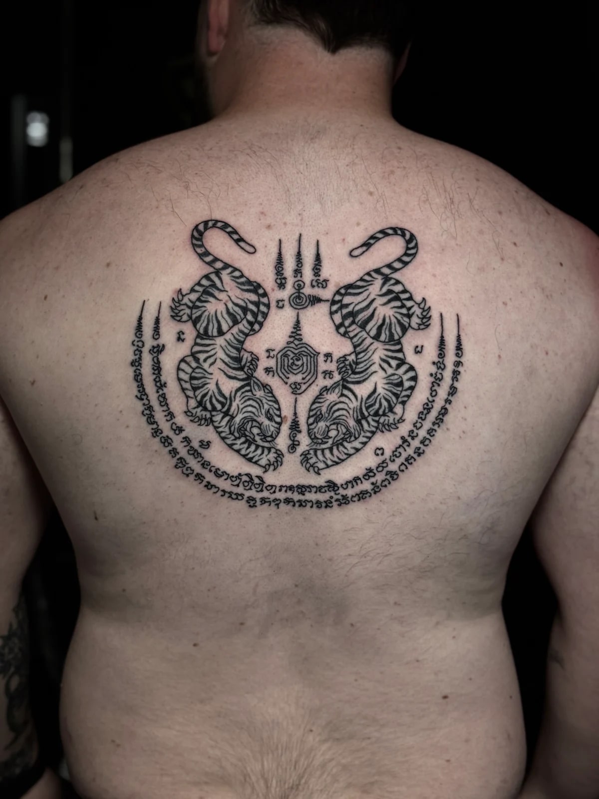 Suea Koo (Twin Tigers) Sak Yant with symmetrical tigers, Khom script crescent, and unalomes centered on the upper back at Bloodline Tattoo Phuket.