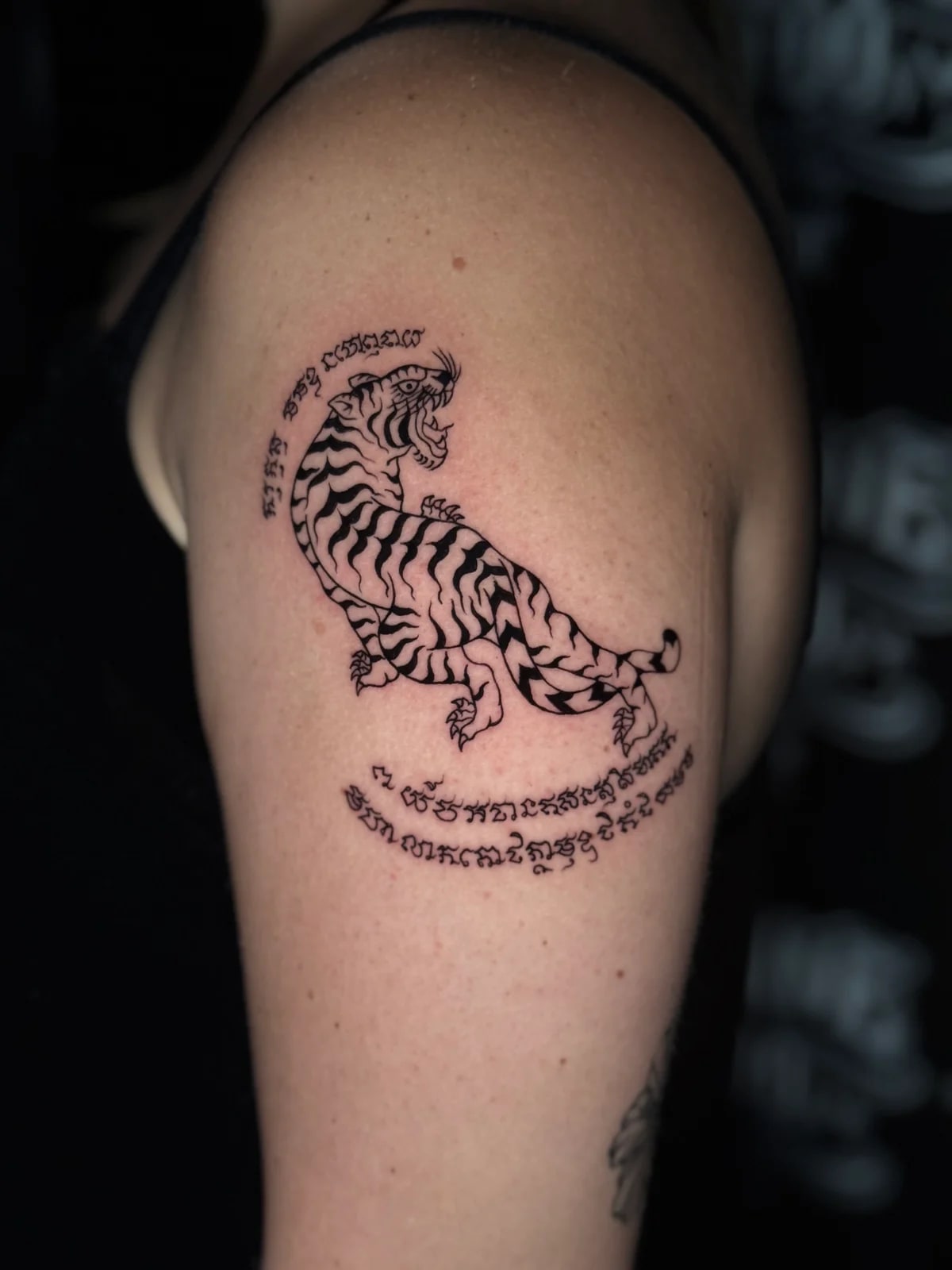 Suea (Tiger) Sak Yant of a snarling tiger surrounded by curved Khom script on the upper arm at Bloodline Tattoo Phuket.